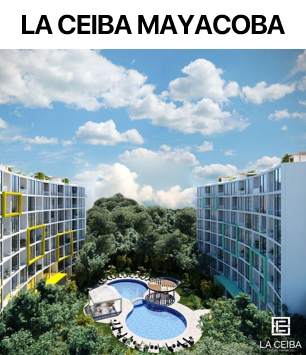 La ceiba mayacoba1